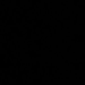 Meet your Posher, Evan